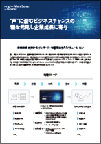 document_WSVV-3