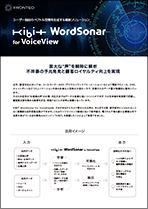 document_WSVV