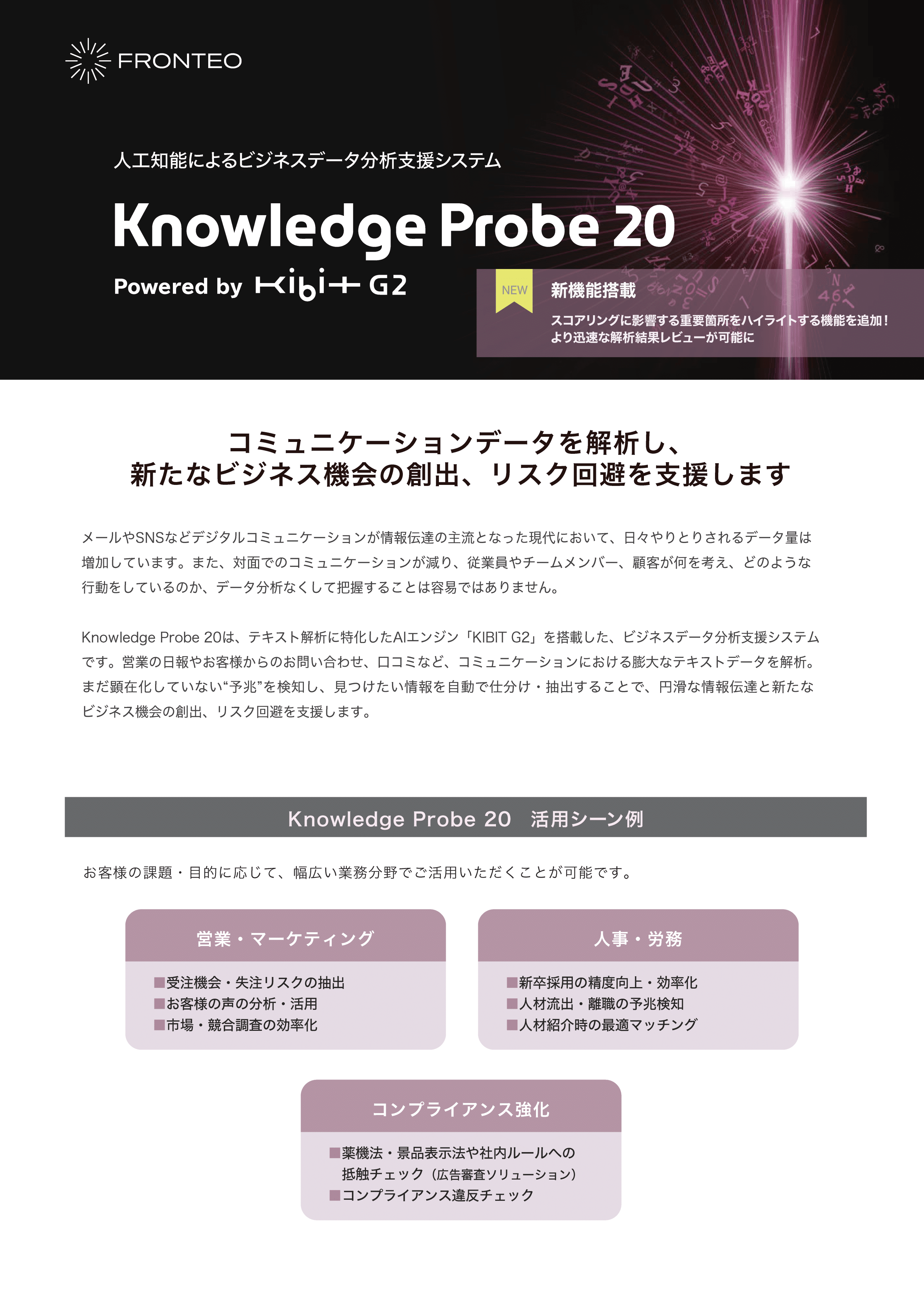Knowledge Probe